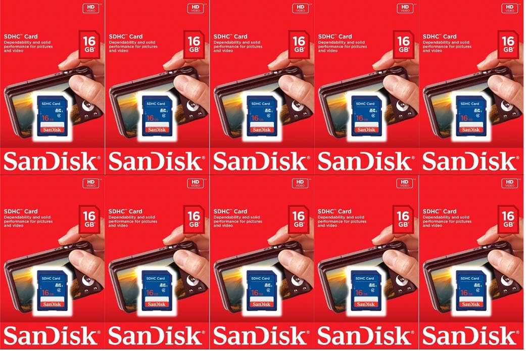 16GB SDHC Class 4 Flash Memory Card V996303