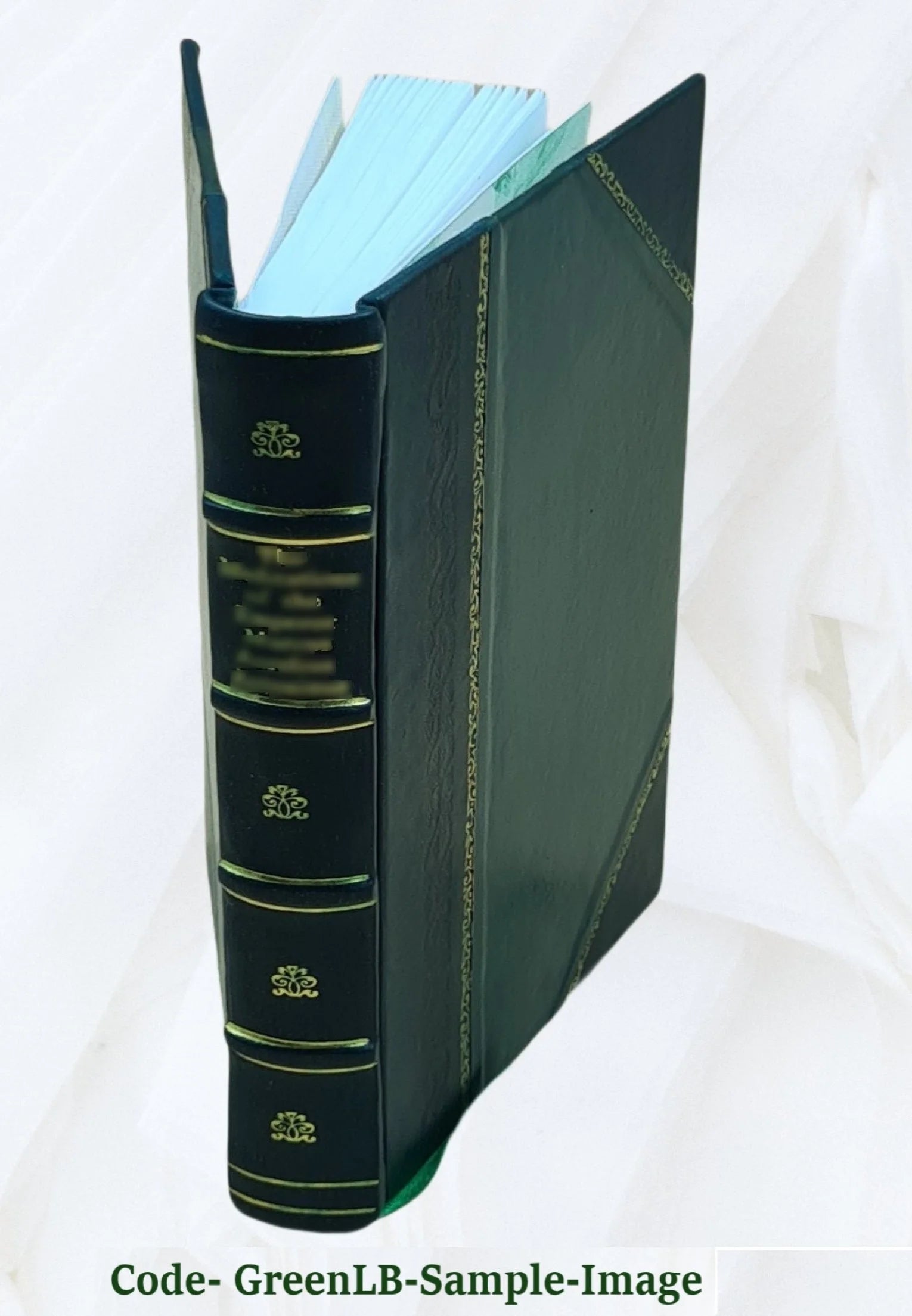 Leather Bound Book I519