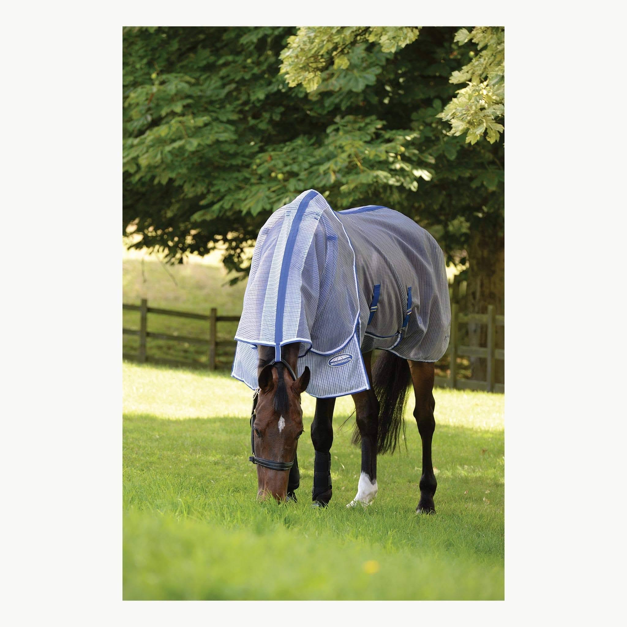 White/Blue Ripshield Detach-A-Neck Fly Sheet B51347