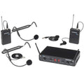 Dual-Channel Wireless System T150