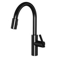 Gloss Black Pull-Down Kitchen Faucet Z38779