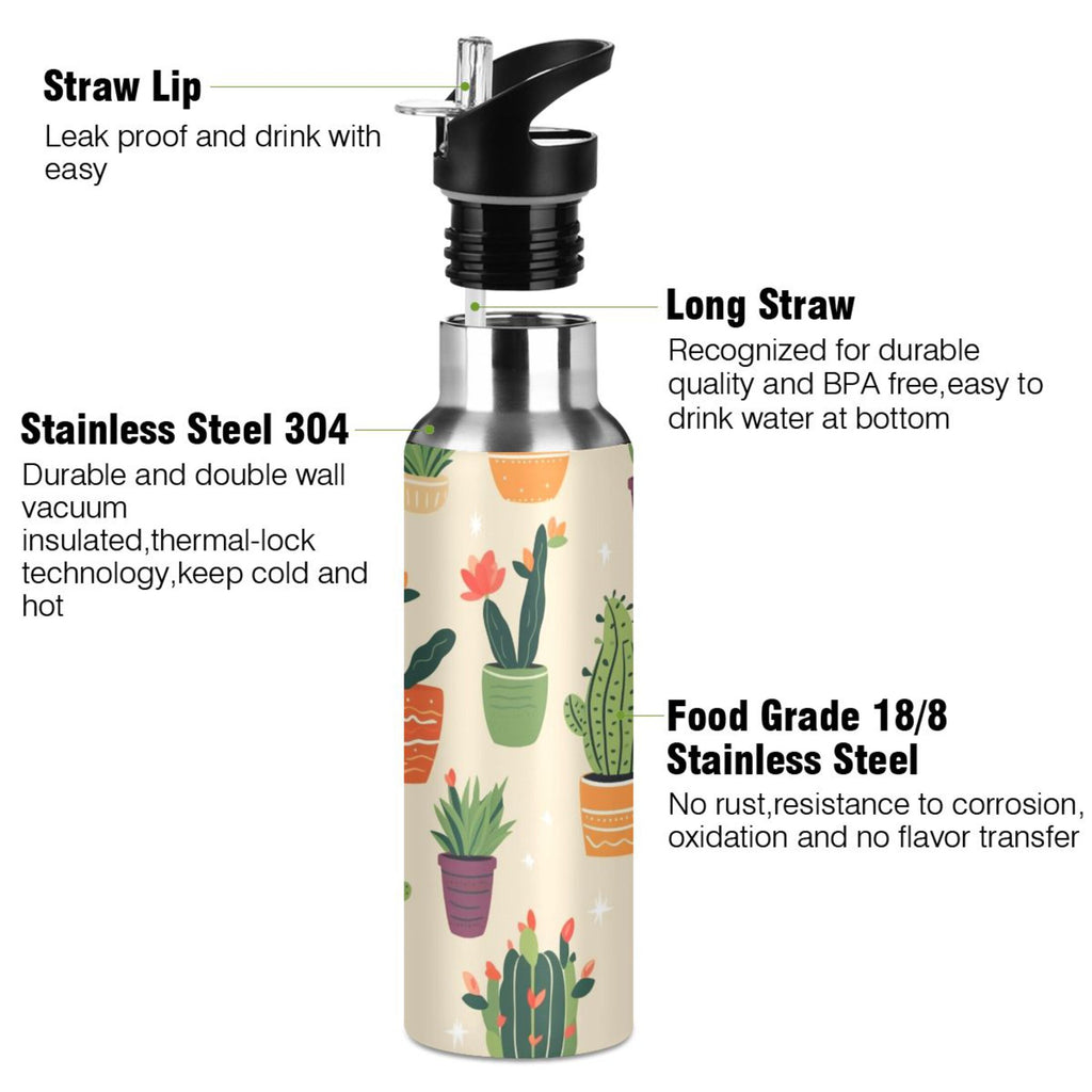 Insulated Stainless Steel Water Bottle with Straw Lid, 20 oz J702