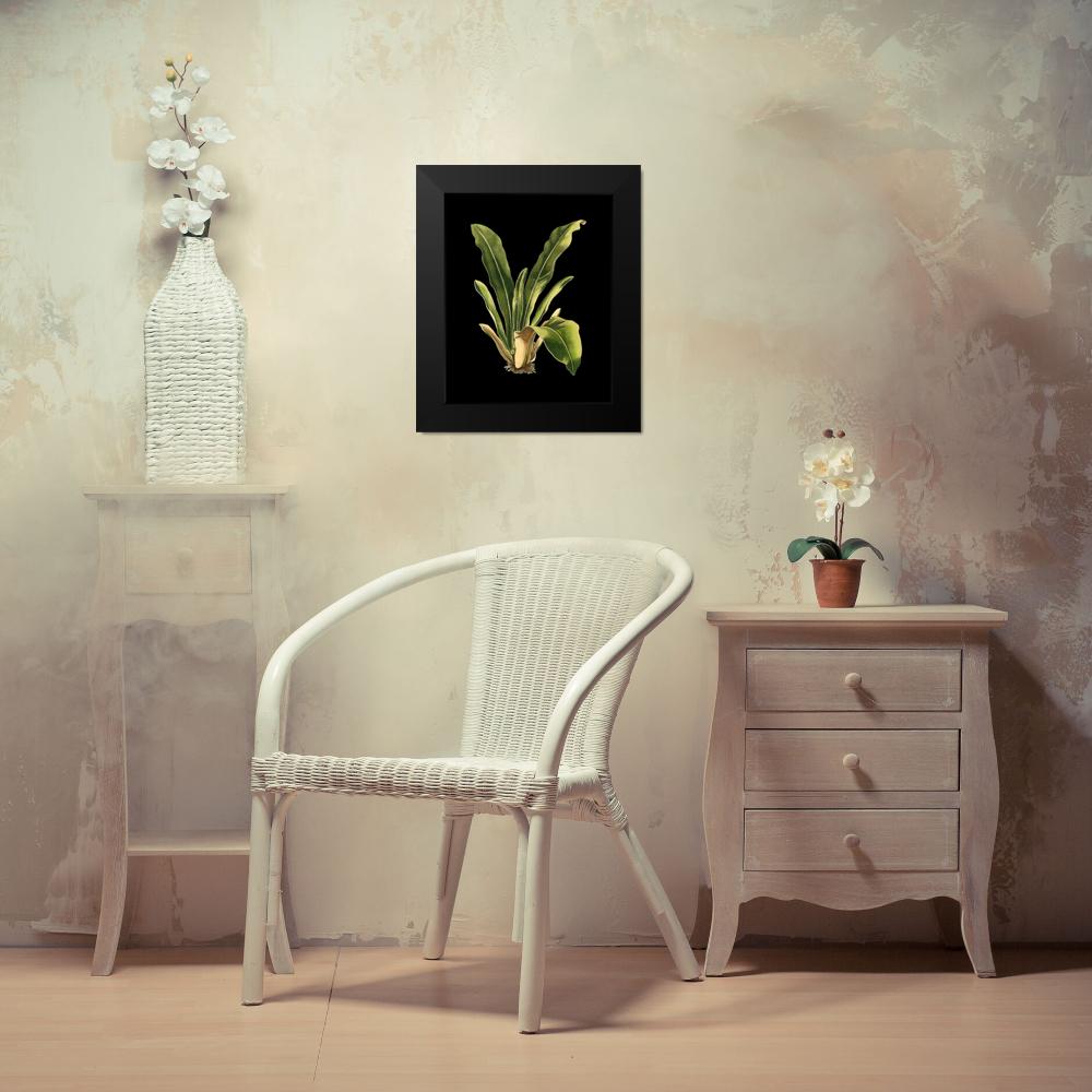 Black Framed Museum Art Print C29157