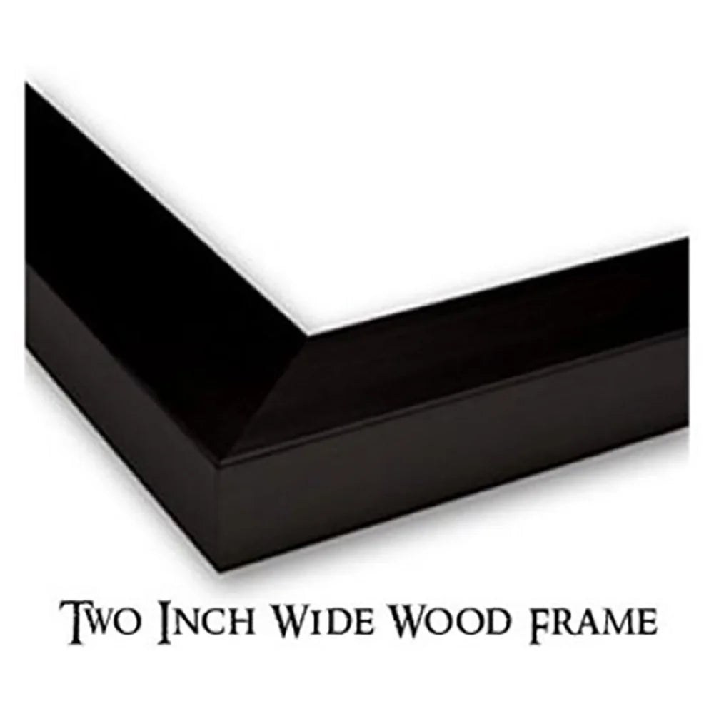 Black Framed Museum Art Print C29157