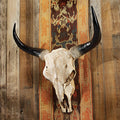 Long Horn Steer Wall Trophy U693358