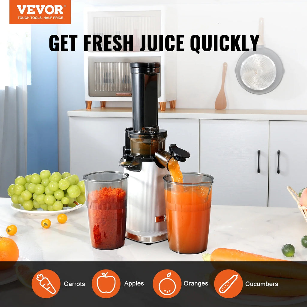 Masticating Slow Juicer Electric Cold Press Squeezer P817