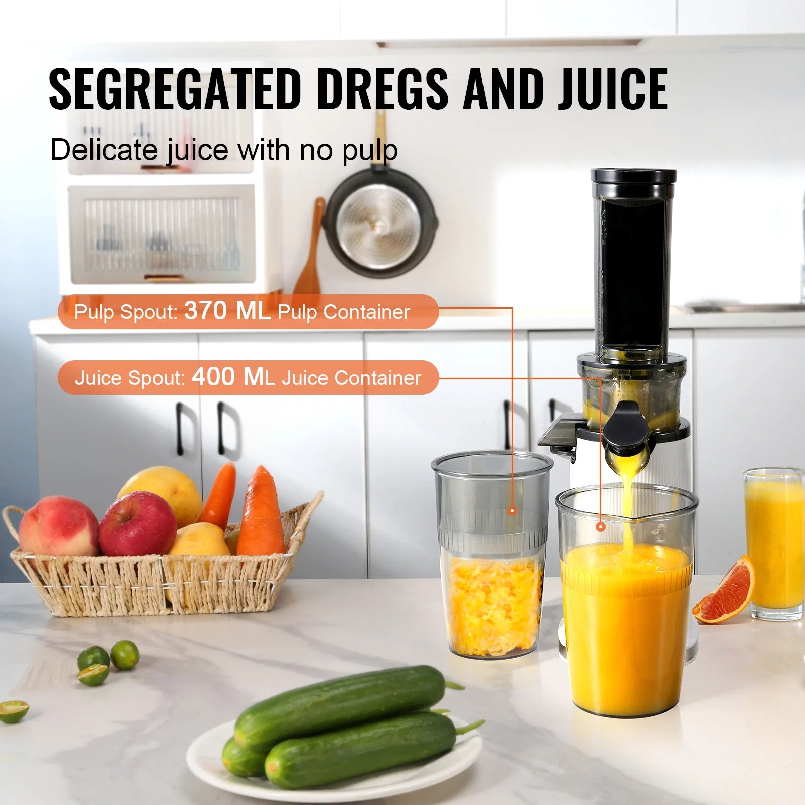 Masticating Slow Juicer Electric Cold Press Squeezer P817