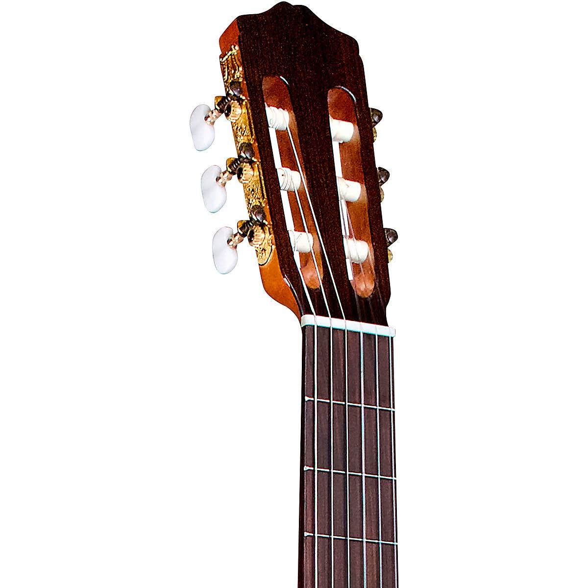 Classical Acoustic Guitar P452
