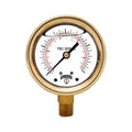 4x22 Brass Case Pressure Gauges R749646