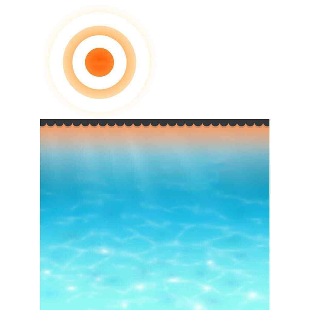 Rectangular Pool Cover 315x22x196.9x22 PE Blue Q95062