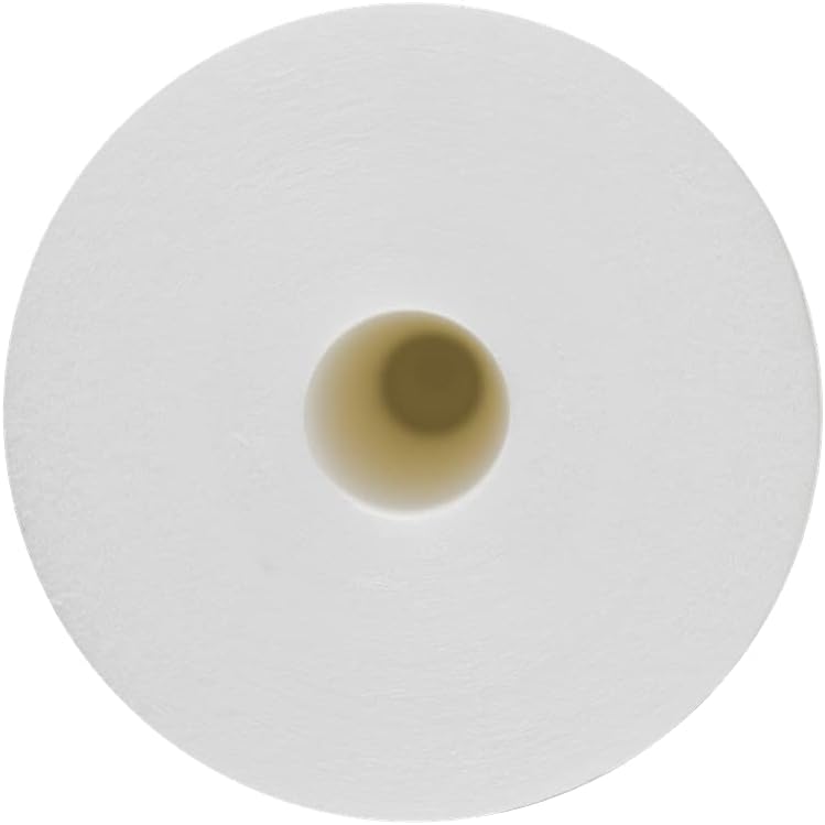 4pcs 5 Micron 4.5 x 10 Whole House Water Filter Cartridges N751812