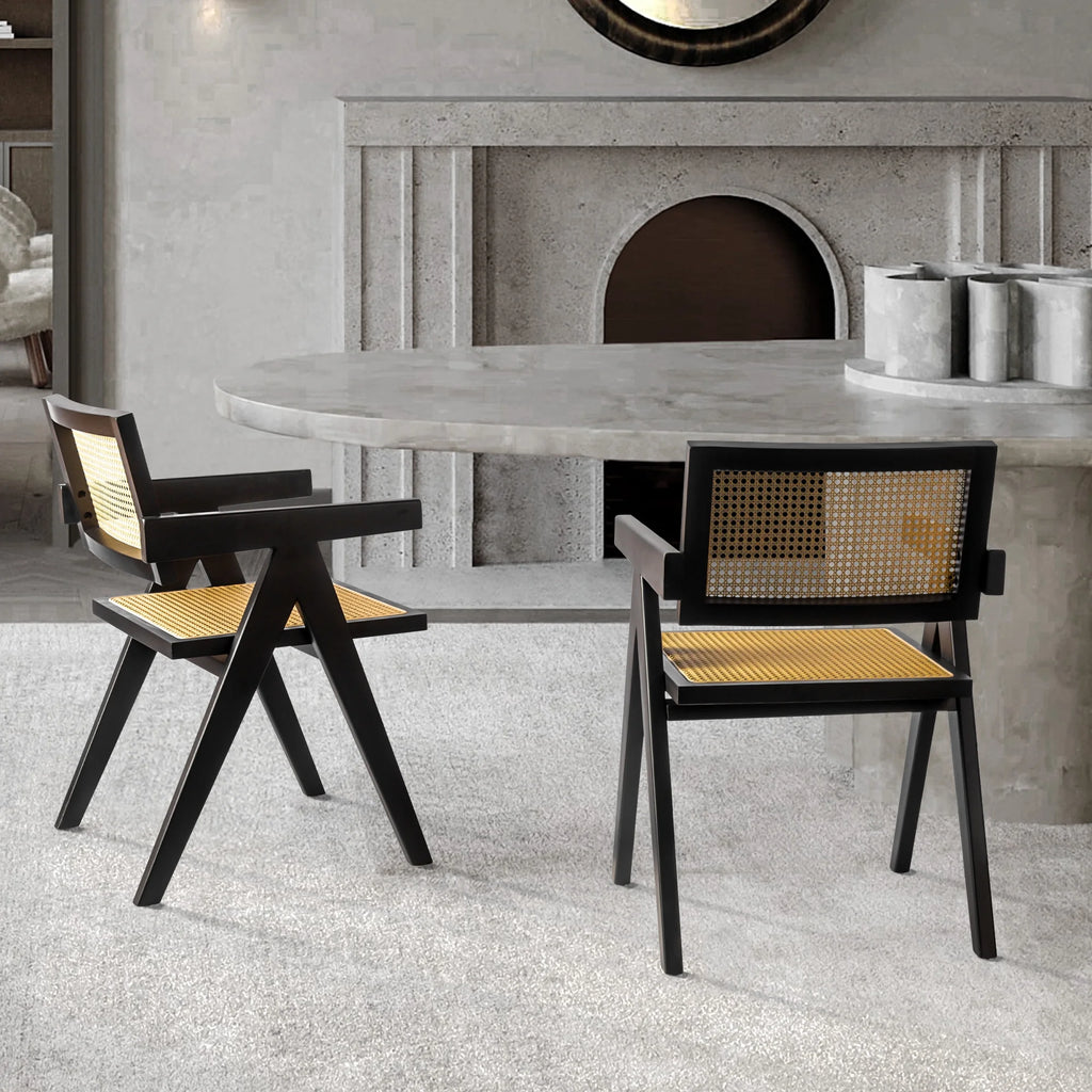 Black Rattan Dining Chairs with Arms, Set of 2 M875945