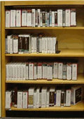 Spiced Walnut Open Back Single Face Shelf Bookcase E504
