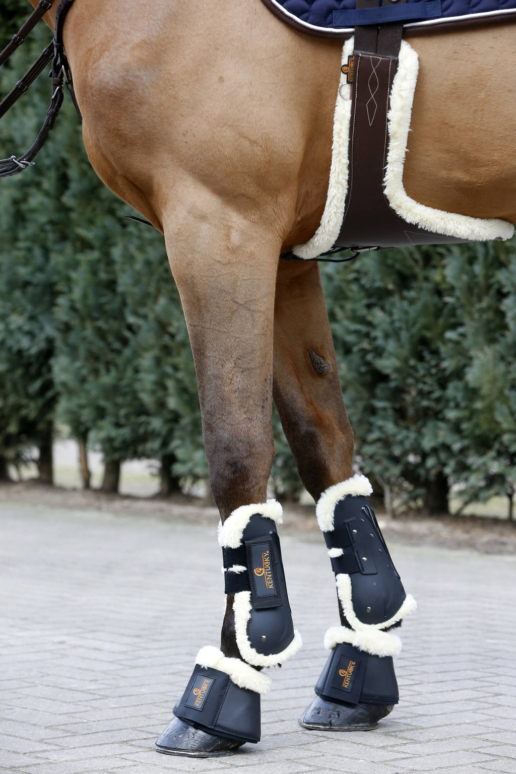 Lambskin Cleat Belt B440533