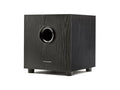 100-Watt Powered Subwoofer J5681
