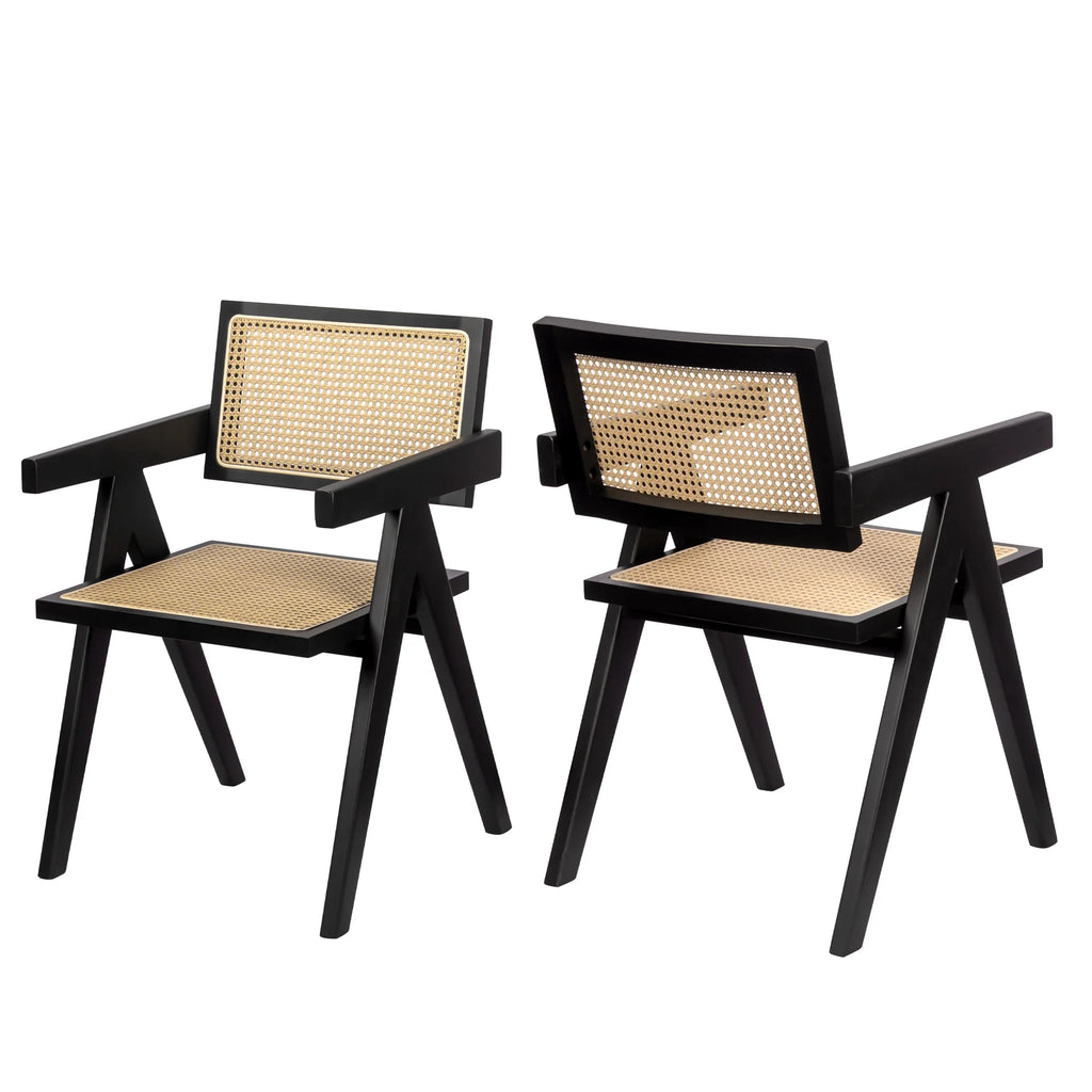 Black Rattan Dining Chairs with Arms, Set of 2 M875945