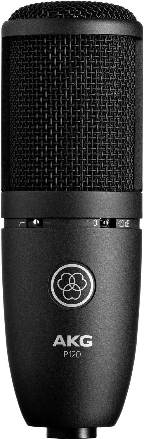Condenser Microphone with XLR Cable, Pop Filter & 10-Pack Straps Y312
