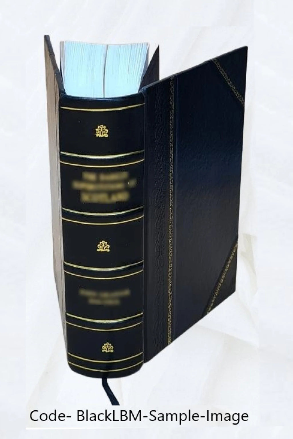 Leather Bound Sailing Directions for Java, Lesser Sundas, Borneo, and Celebes P848233
