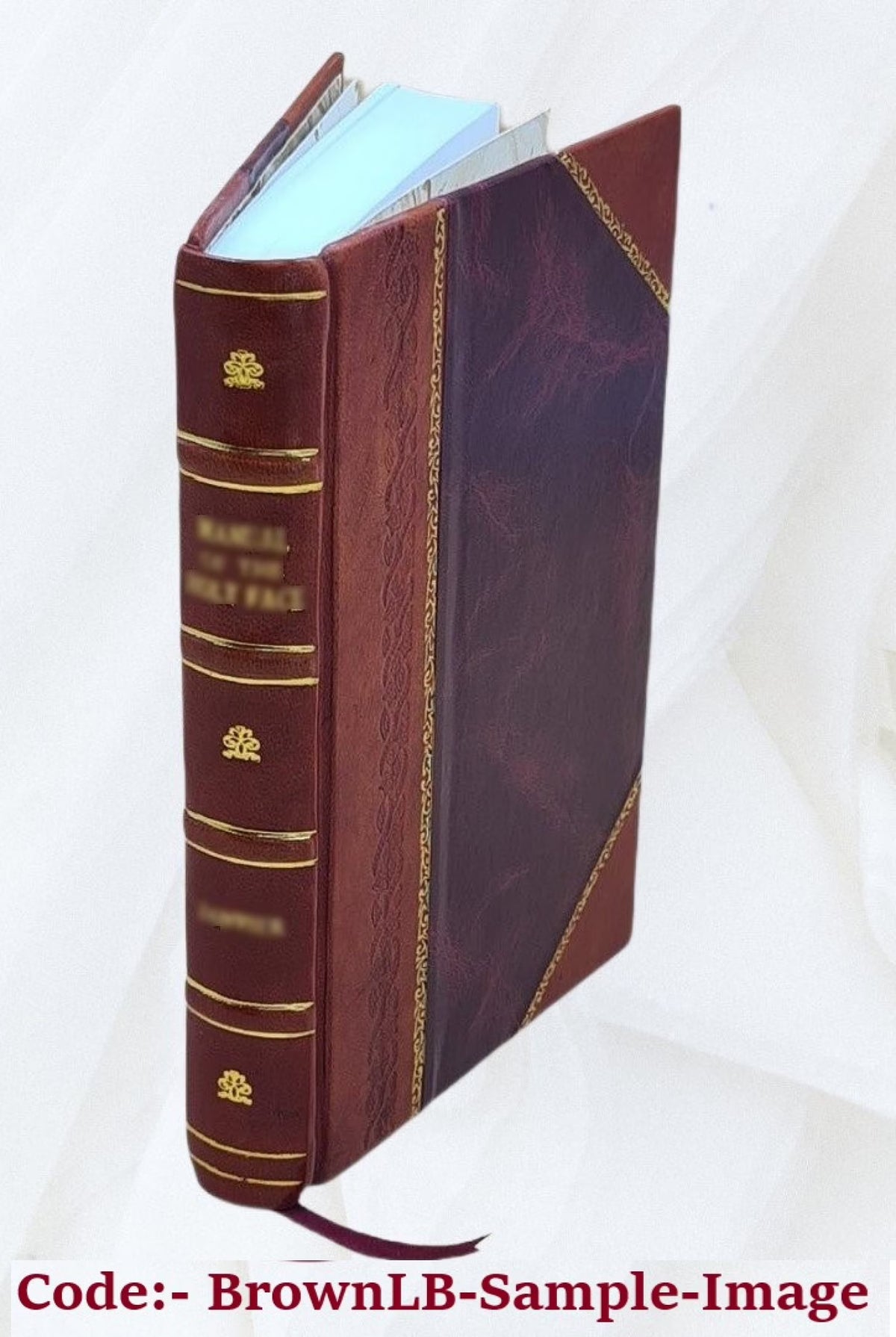 Leather Bound Book I519