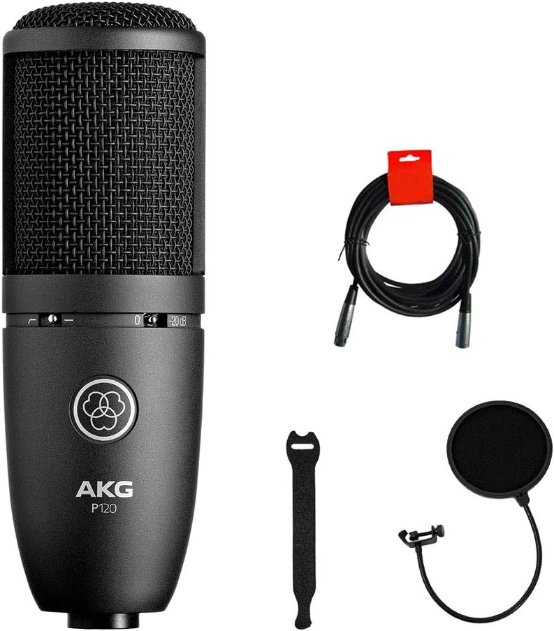 Condenser Microphone with XLR Cable, Pop Filter & 10-Pack Straps Y312