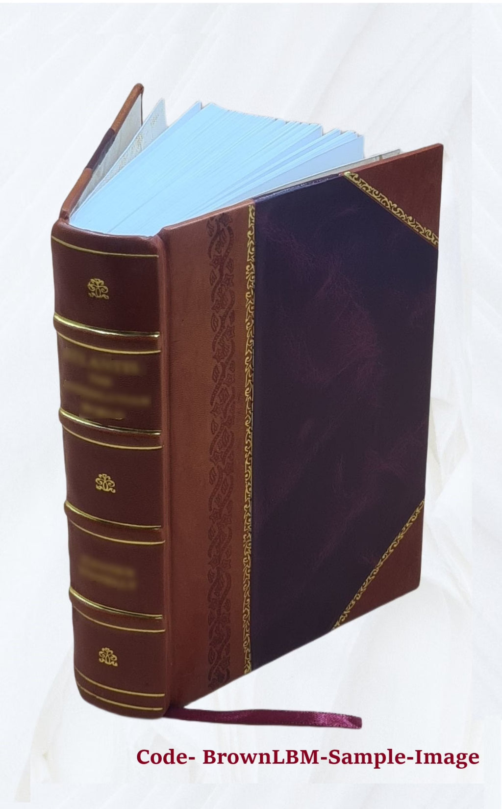 Leather Bound Sailing Directions for Java, Lesser Sundas, Borneo, and Celebes P848233