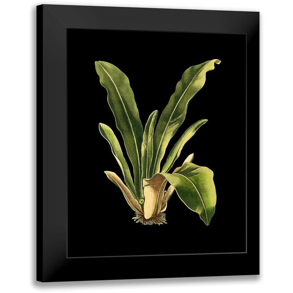 Black Framed Museum Art Print C29157