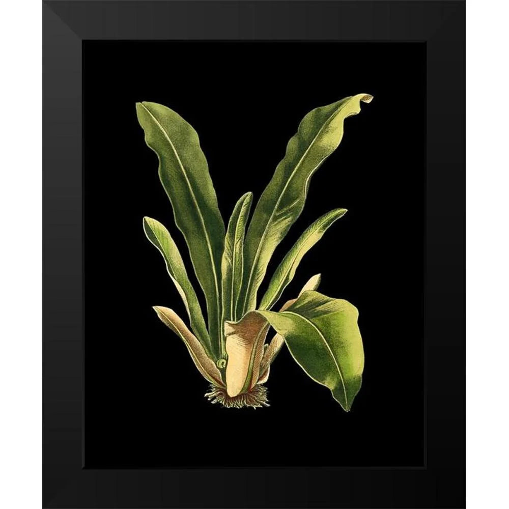 Black Framed Museum Art Print C29157